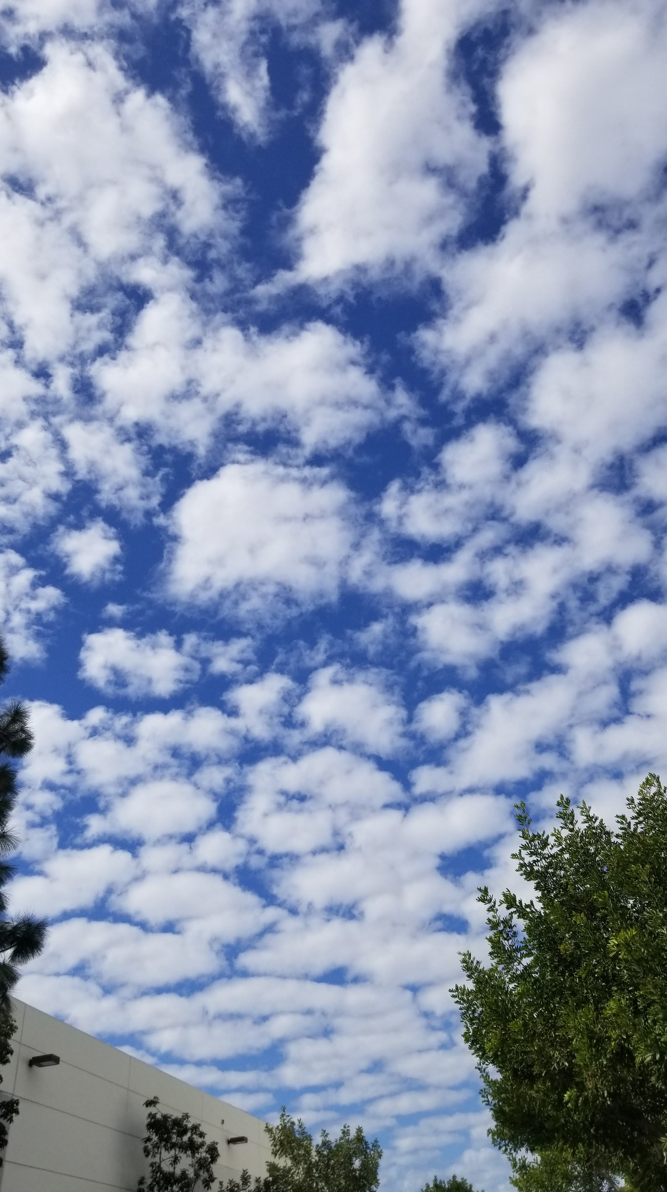 Via Whiskey, Woes, & Words, 2020